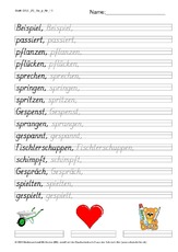 DSS_2S_Bu_p_Nr_11.pdf